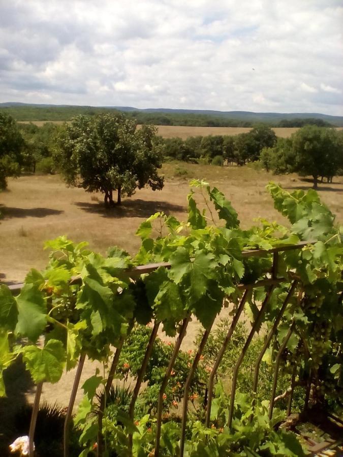 Вила Сириус Szinemorec Kültér fotó